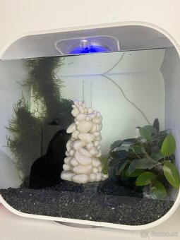BiOrb akvárium. - 3
