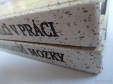 2x Bernstein/Rozen -NEANDRTÁLCI V PRÁCI, DINOSAUŘÍ MOZKY - 3