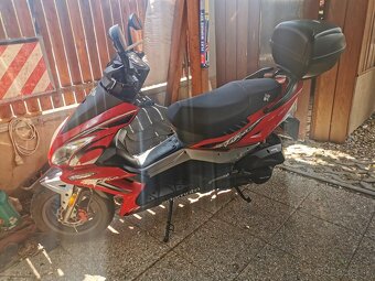 ADAMOTO 125 cm - 3