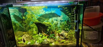 Akvárium 52 l zariadené - 3