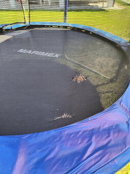 Trampolina - Marimex 244 cm - 3