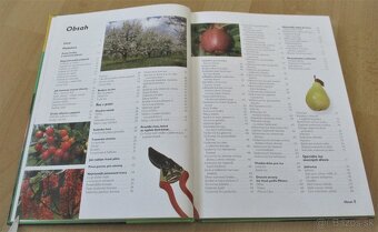 Řez ovocných stromu a keřu - 3