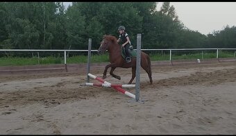 Ustajnenie - 3