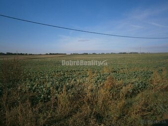 pozemok vhodný pre výstavbu rodinných domov o výmere 10 ha v - 3