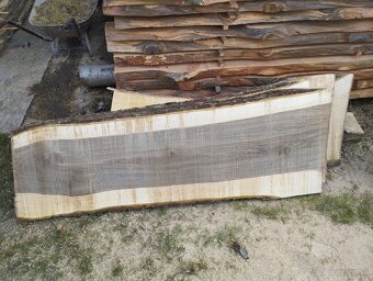 Orechové kmene, orechové fošne - 3