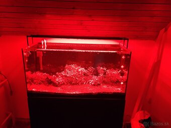 200l akvárium a všetko vibavenie - 3