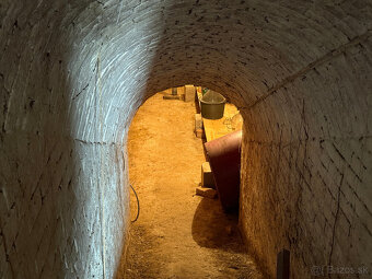 Predám vinicu v osobnom vlastníctve - 3