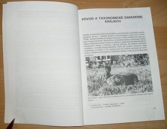 Intenzívny chov brojlerových králikov - 3