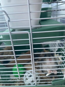 Výbava pre škrečka zelená - 3