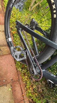 DIRT ROSE the BRUCE 26 Zoll - 3