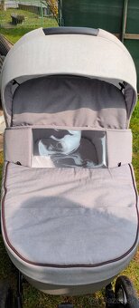 Kočík Tutis Viva Life 2v1 - 3