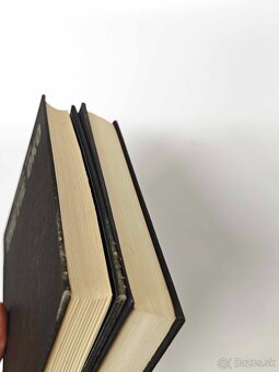 Stephen King - Tretie oko + Podpaľačka - 3