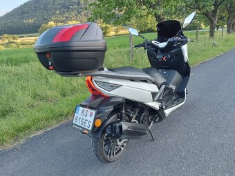 ADAMOTO MAXI T9 125cm3 - 3