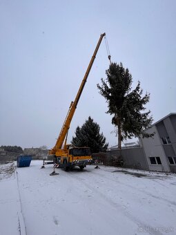 Prenájom autozeriavu Liebherr 1030 - 3