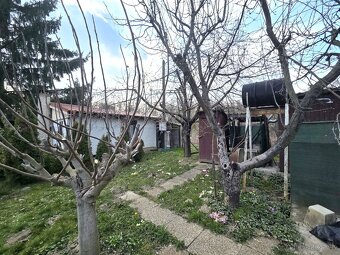 Ponúkame na predaj záhradu pri Nesvadoch - 3