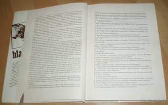 Hlavátka - 3
