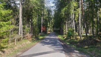Pozemok na výstavbu chaty Vysoké Tatry-Tatr.Štrba - Lieskove - 3