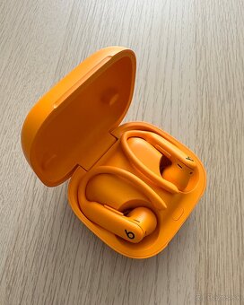Apple Beats Powerbeats Pro 2 - 3