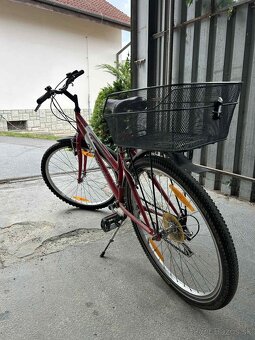 Bicykel author - 3