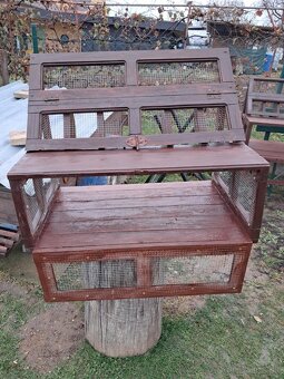 Poštové holuby - 3