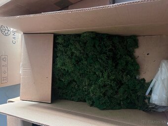 Predám stabilizačný mach - 3