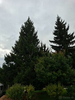 Darujem za odvoz - 3