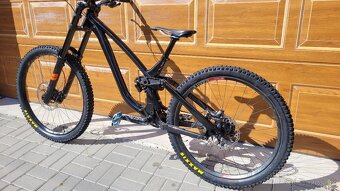 NS FUZZ 2024 - 3