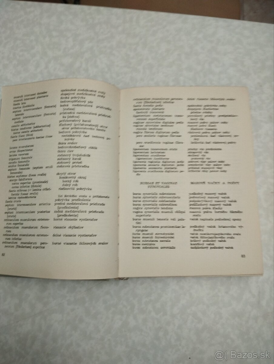 Anatomické názvoslovie - 4