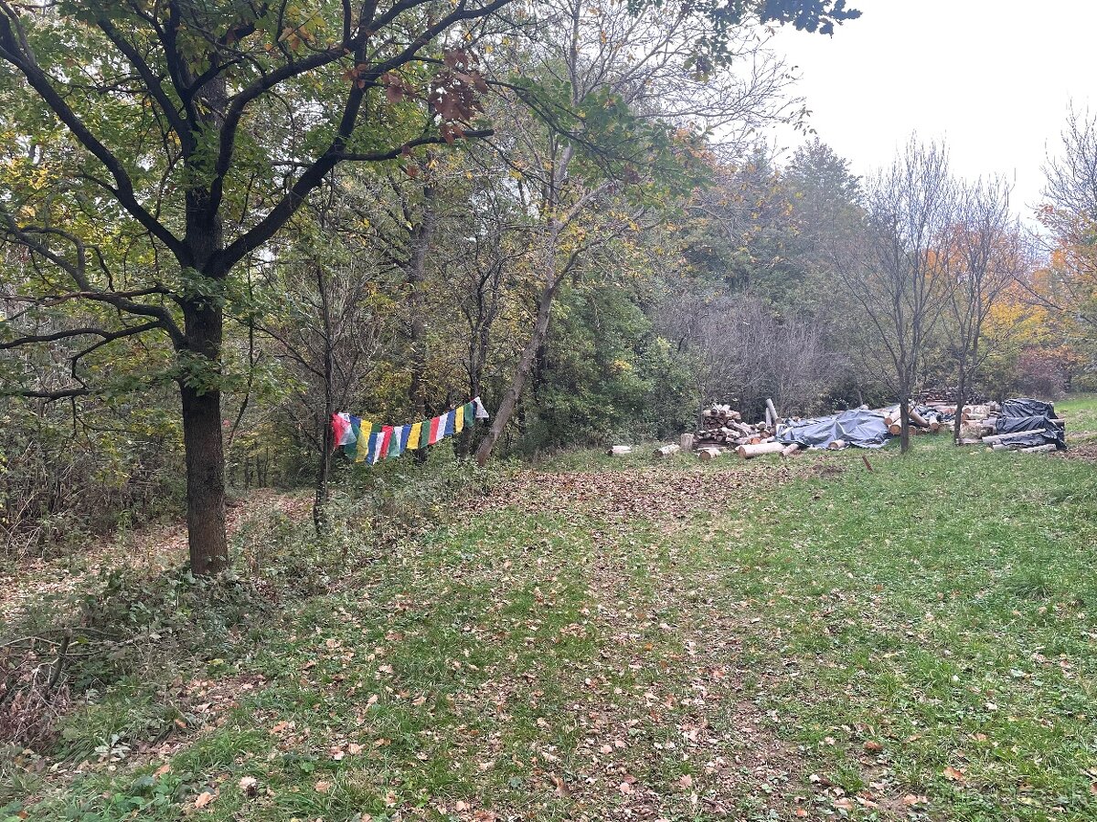 Predam zahradu Nova Bosaca - 4