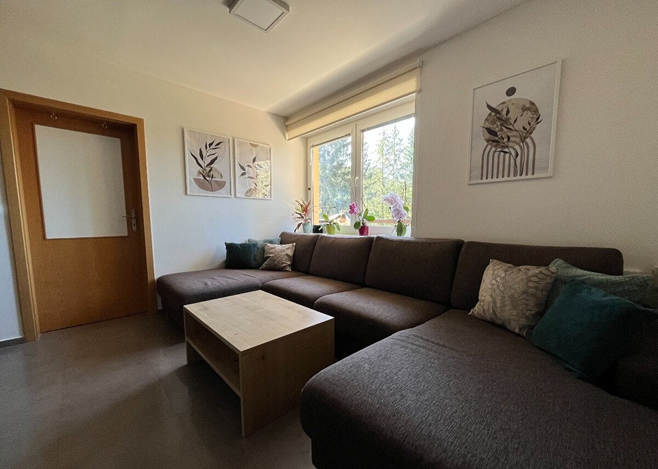 Byt na Donovaloch na bývanie aj podnikanie - 4