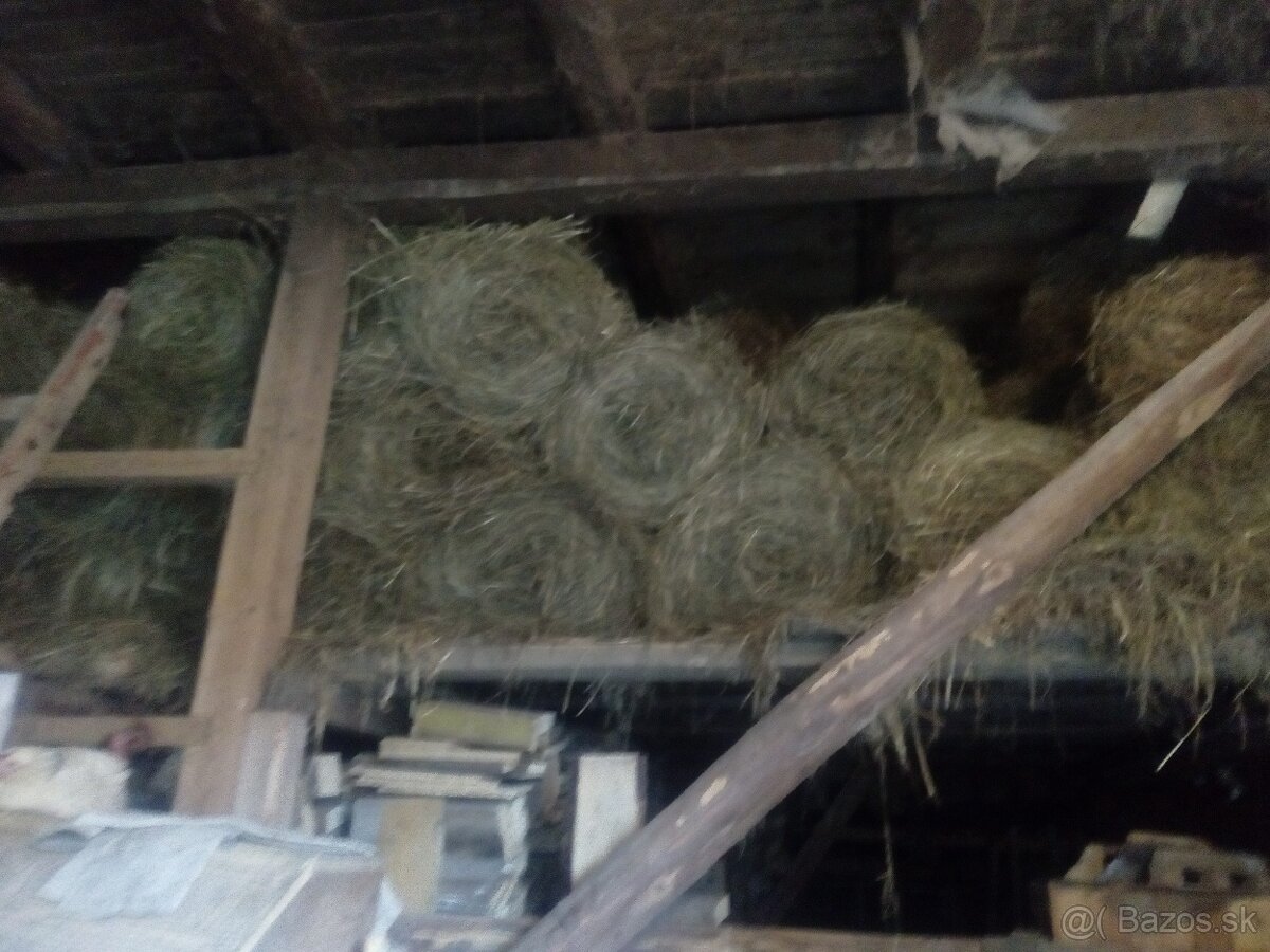 Seno malé okrúhle baliky - 4