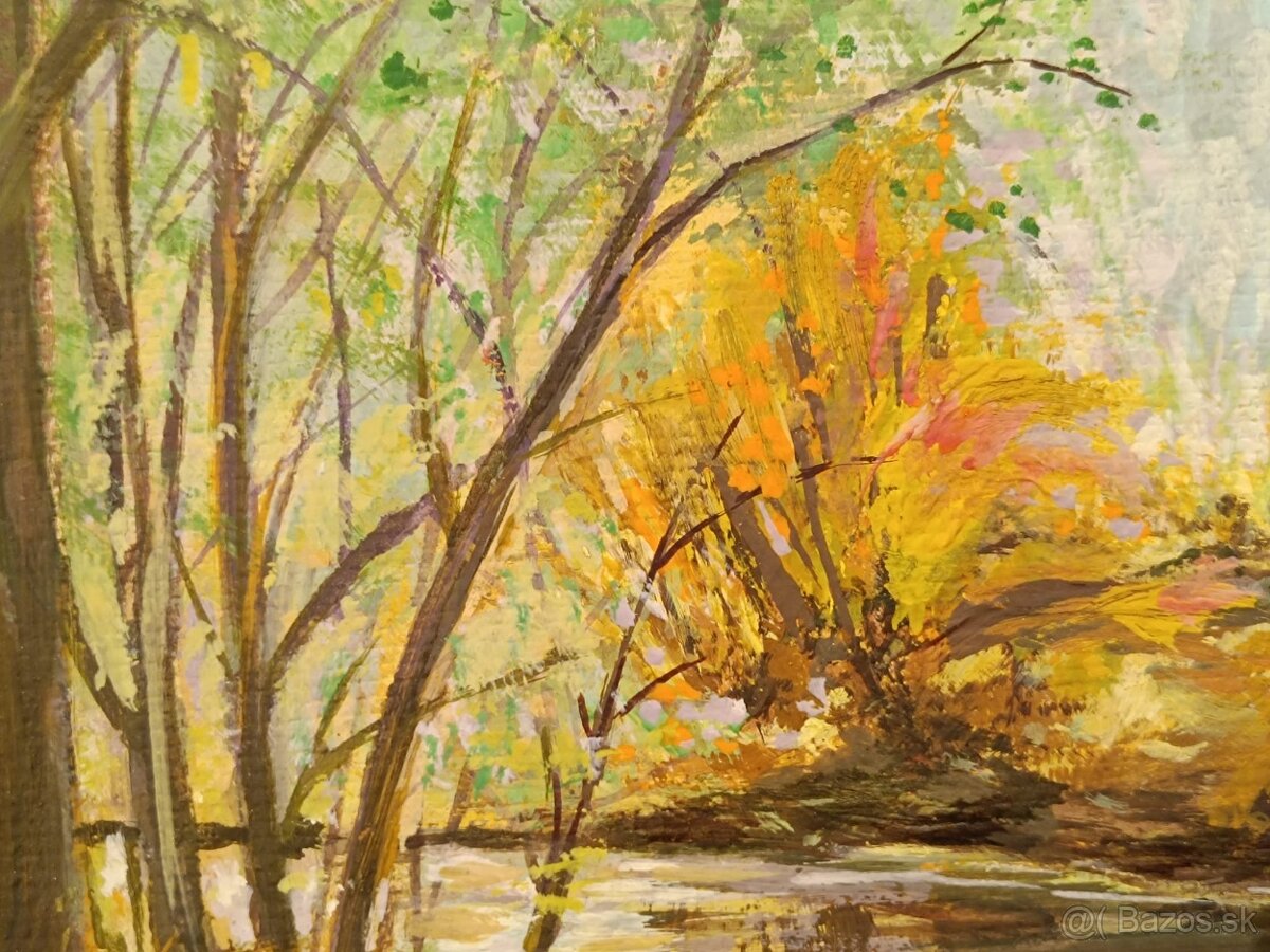 Obraz partie u Vydry Šumava, olej 85x64 - 4