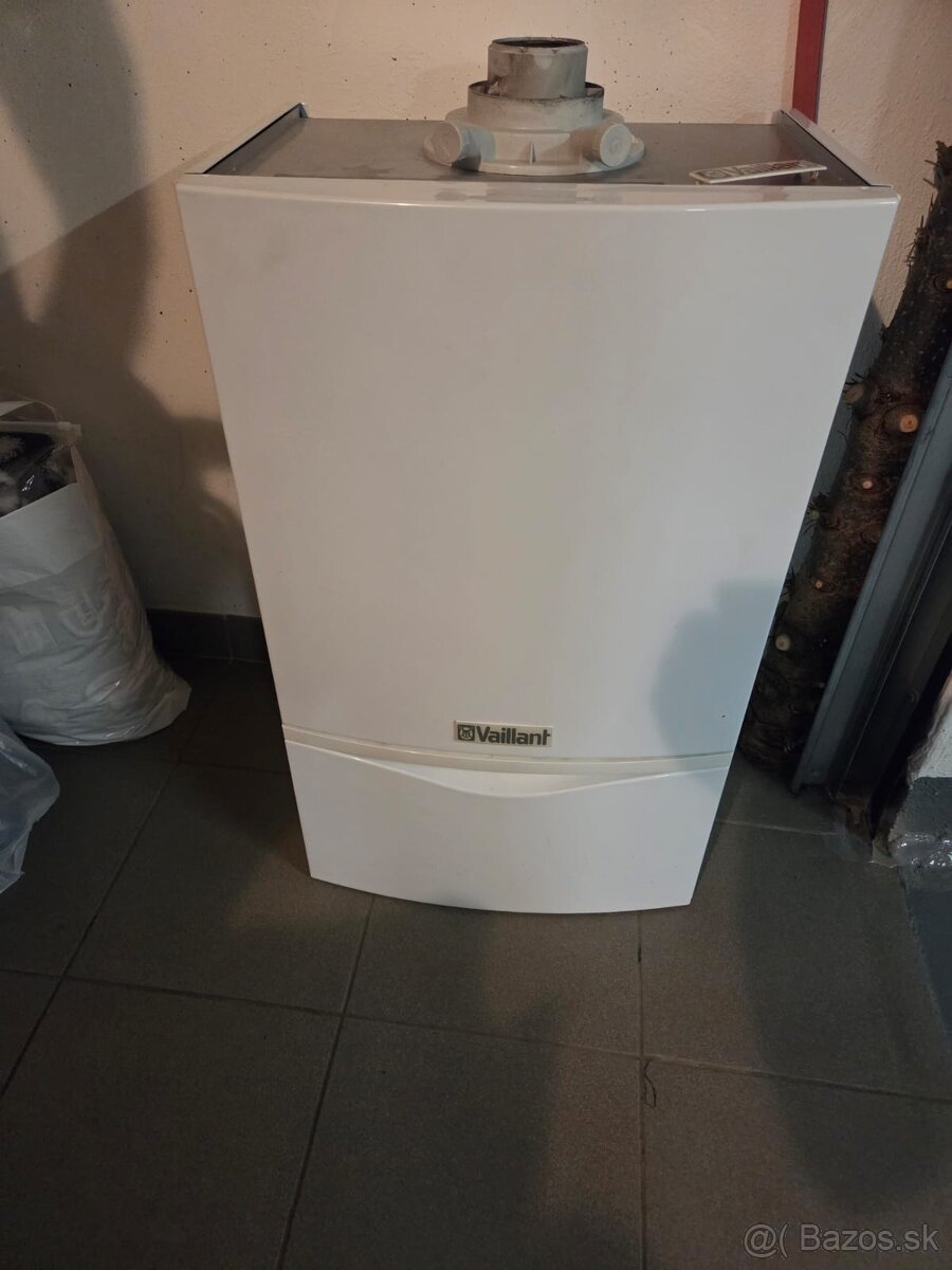 Kotol Vaillant - 4