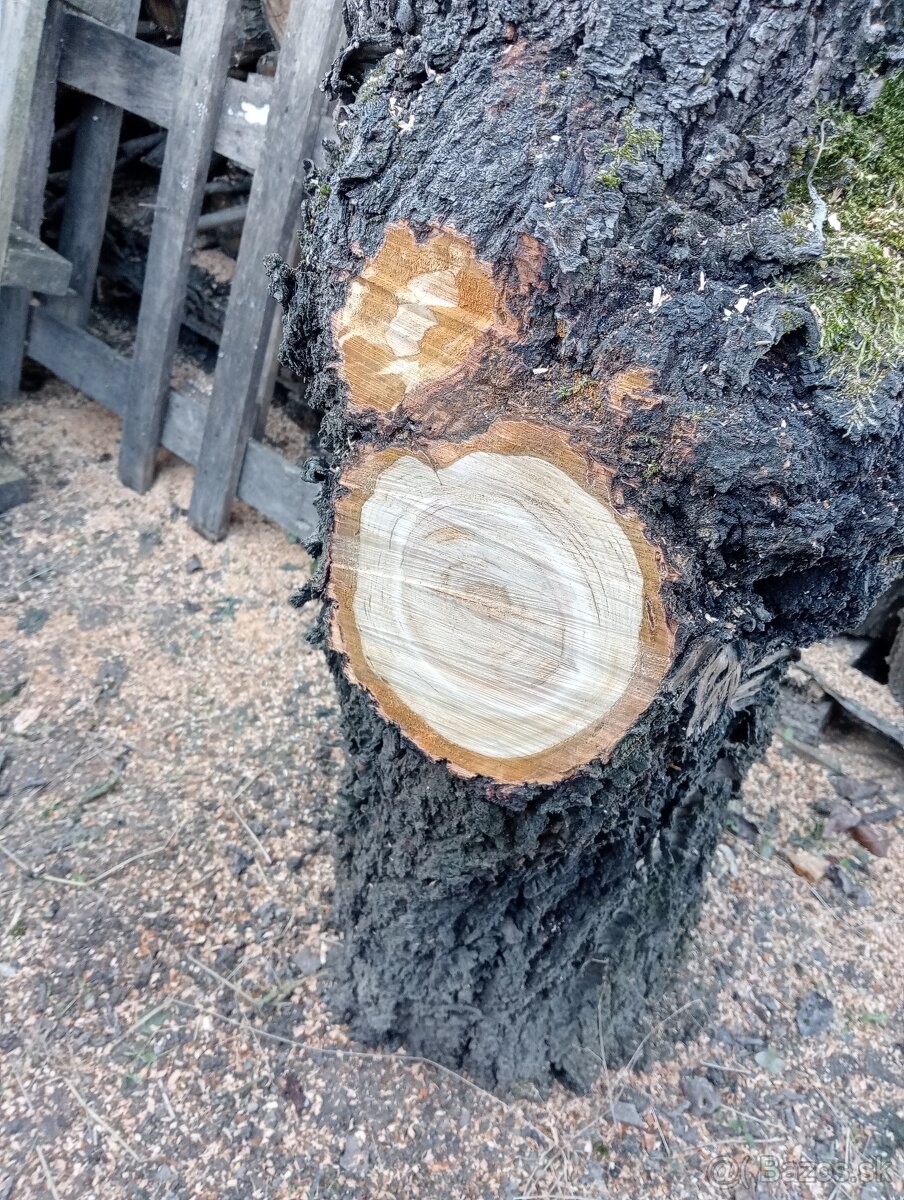 Ceresnové drevo - 4
