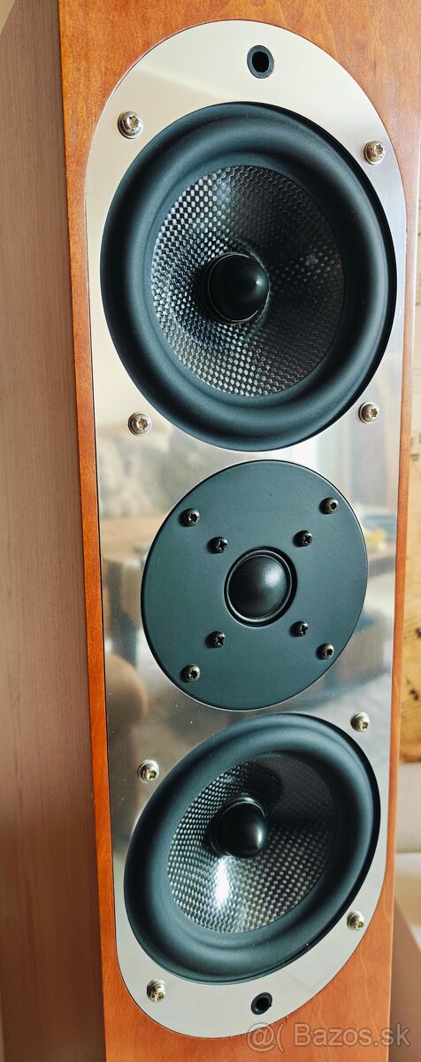 ASW genius reference 300 - 4