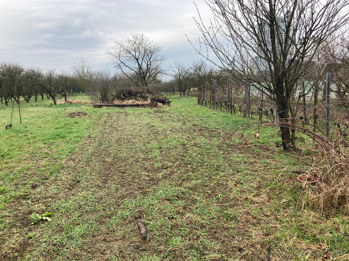 Stavebná parcela v obci Somotor - 4