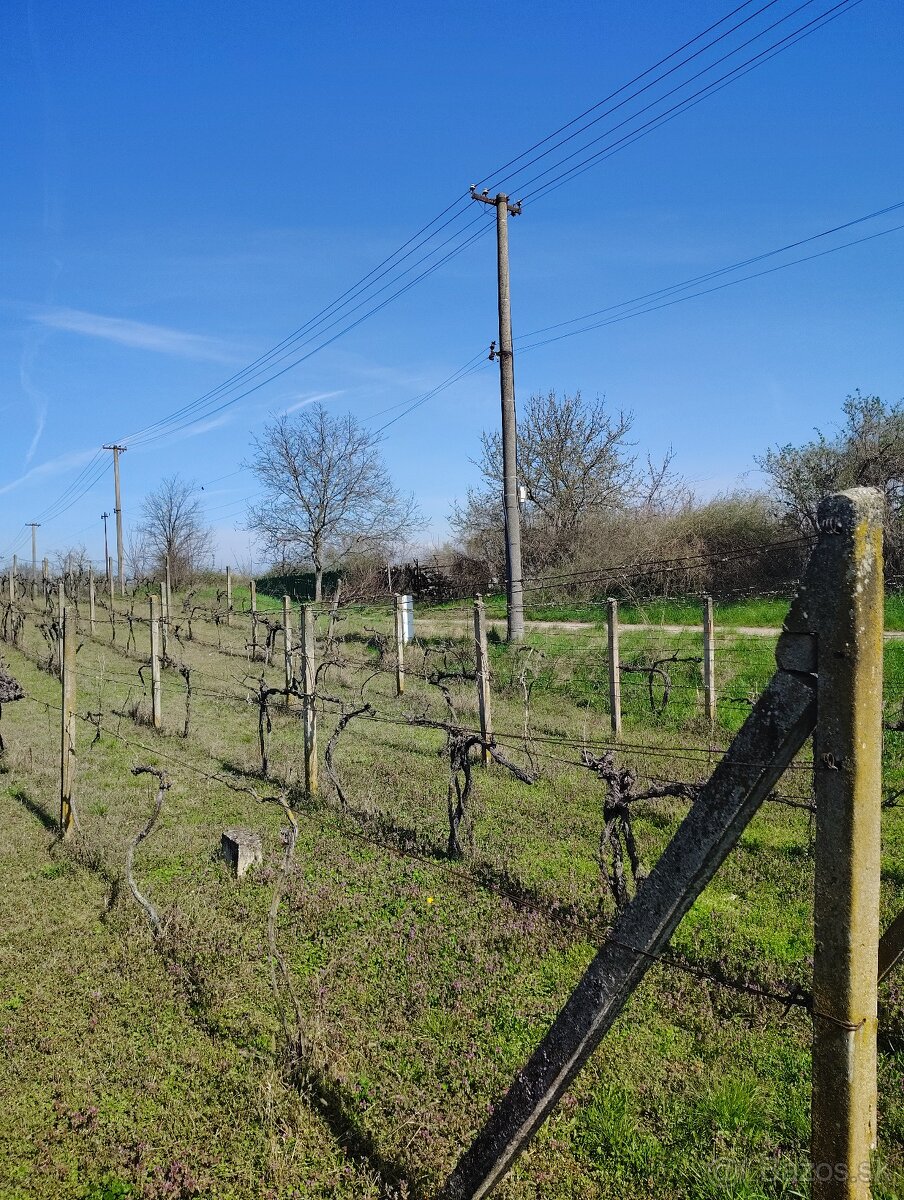 Pozemok v srdci vinárskej obci Moča, KN Lepšia cena - 4