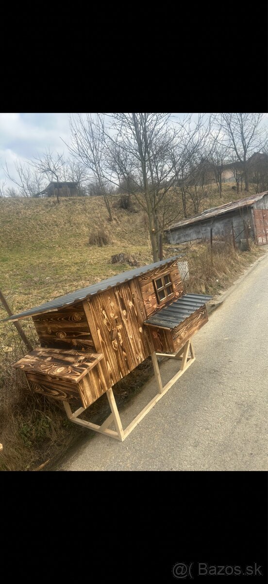 Kurin / kurnik - 4