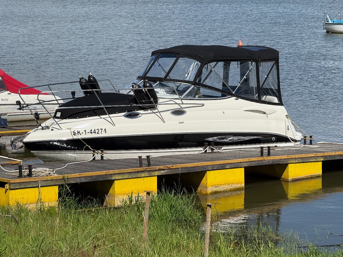 STINGRAY 250CS + príves - 4