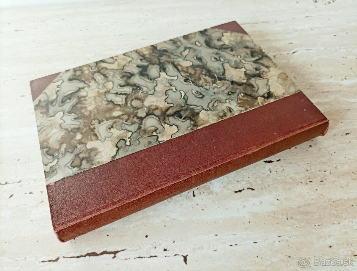 Časopisy Šťastný domov, svázaný ročník 1923, krásný stav - 4