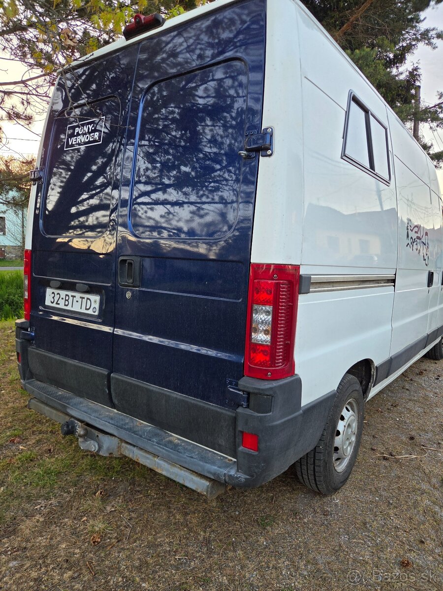 Auto na kone, konský prepravník - 4