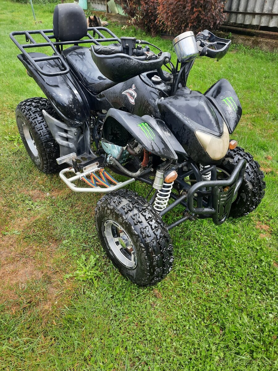 Eagle lyda 203 Tp spz