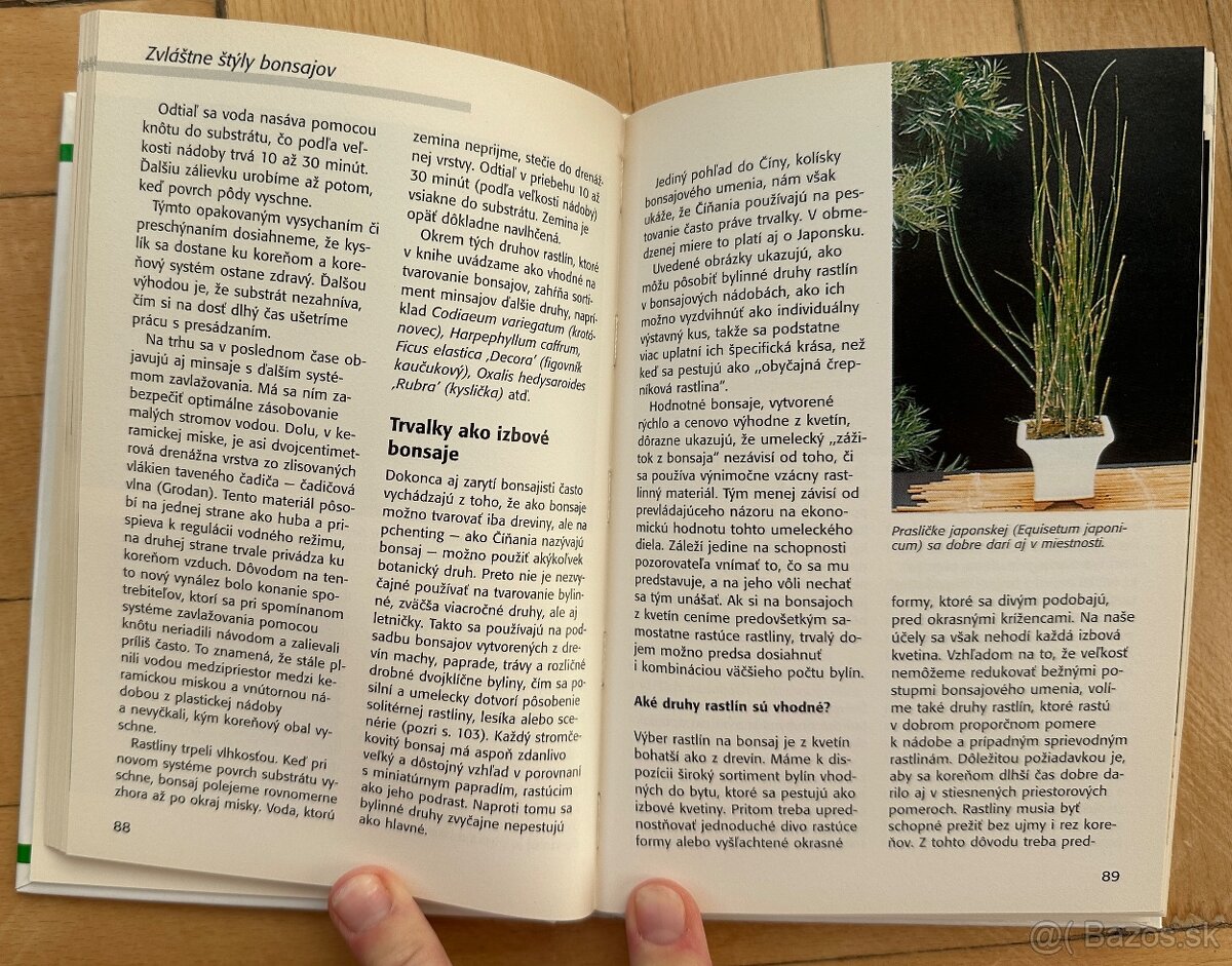 Kniha Izbové bonsaje Wolfgang Kawollek za 5eur - 4
