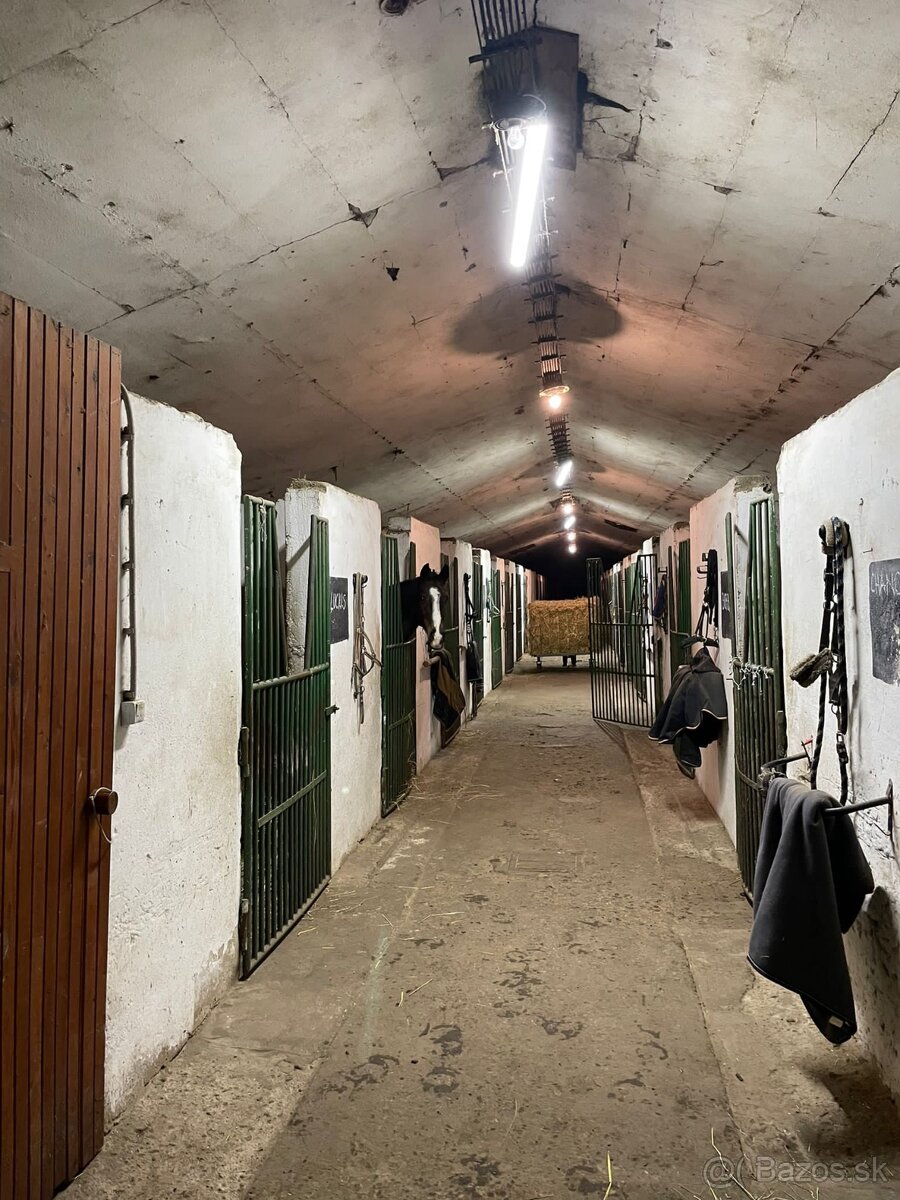 Hľadáme stajníka/stajníčku - 4