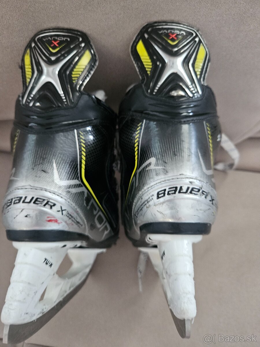 Korcule Bauer vapor 3x - 4