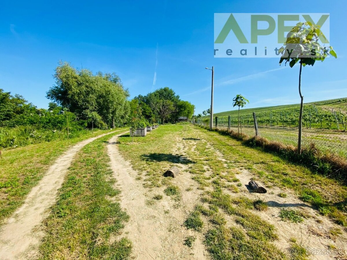 APEX reality stavebný pozemok 2019 m2 v obci Bojničky - 4