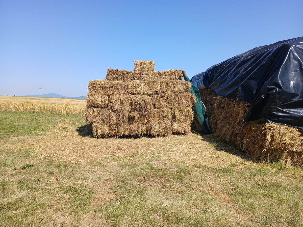Predám malé balíky sena - 4