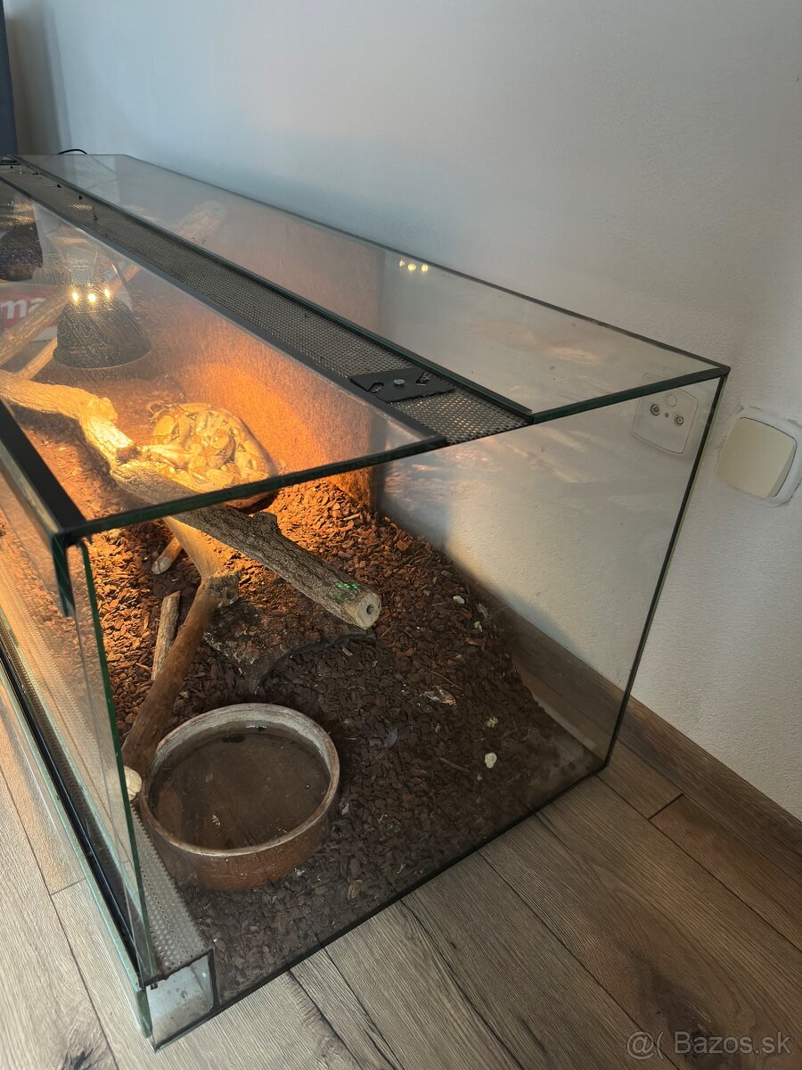 Terarium - 4