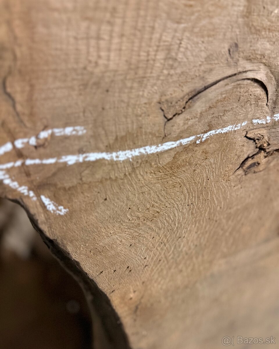 XXL DUBOVÁ FOŠŇA - 4