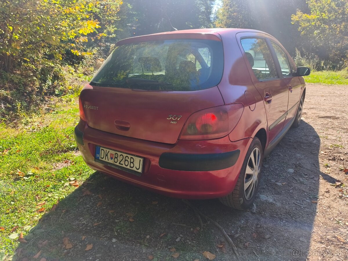 Peugeot 307 - 4
